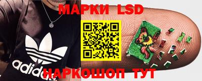 PSILOCYBIN Кумертау