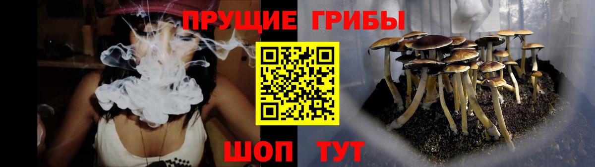 Тобольск  Галлюциногенные грибы MAGIC MUSHROOMS  что такое   Вход с VPN 